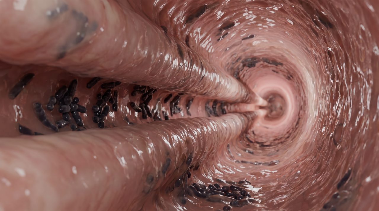 Inside a dog's gut: a bacterial biofilm coating the gut wall with bad bacteria hiding underneath